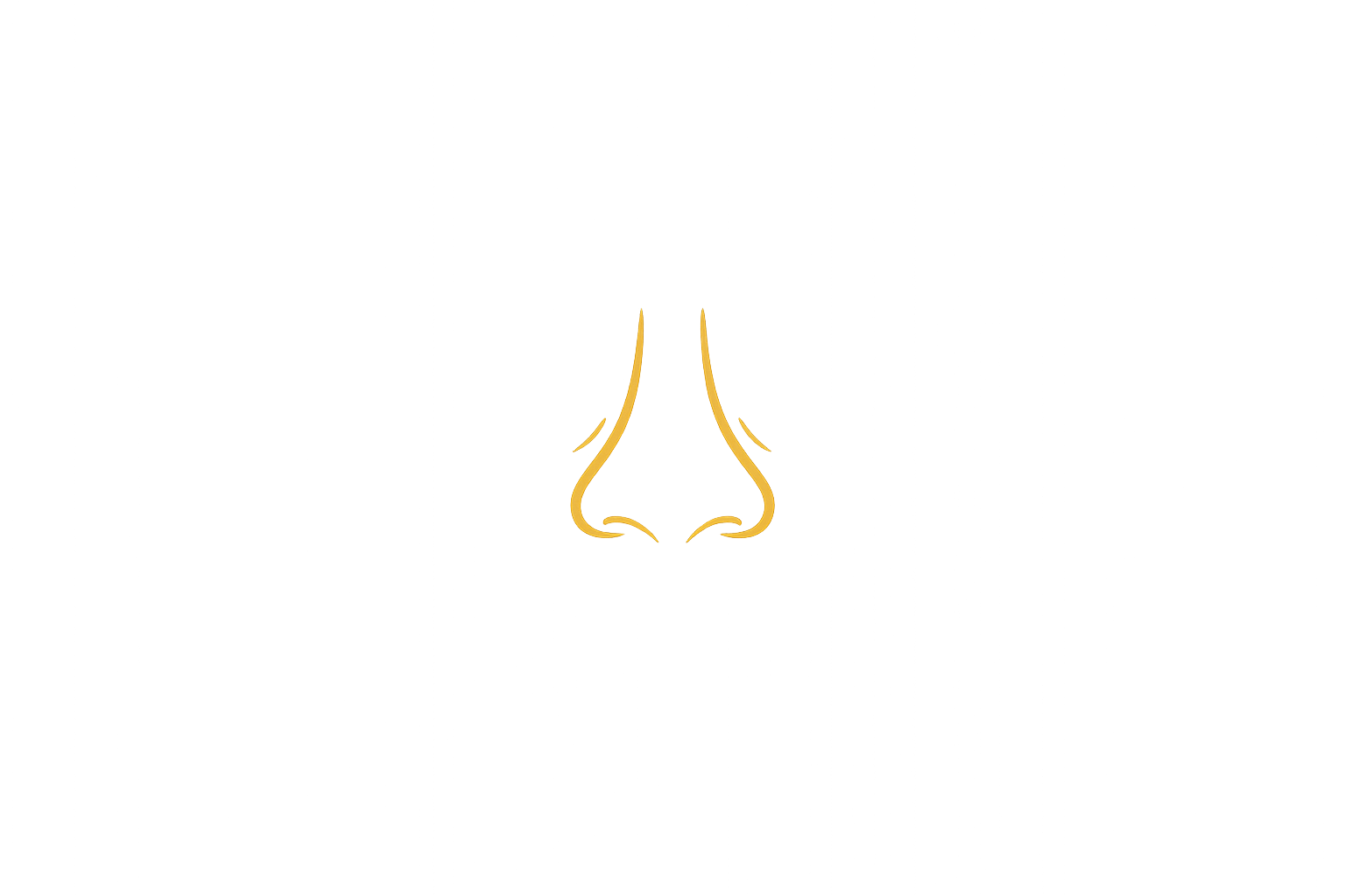 bunny lines